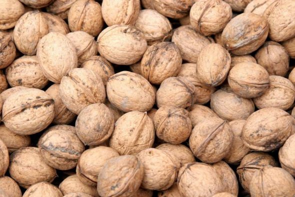 Walnut Production Management