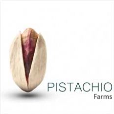 Pistachio farm