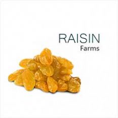 Raisin Farm