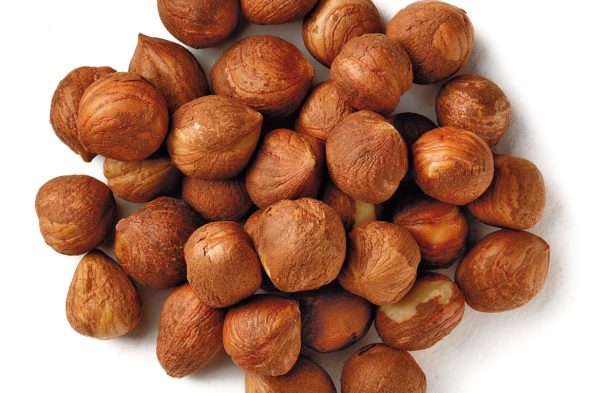 hazelnut kernel