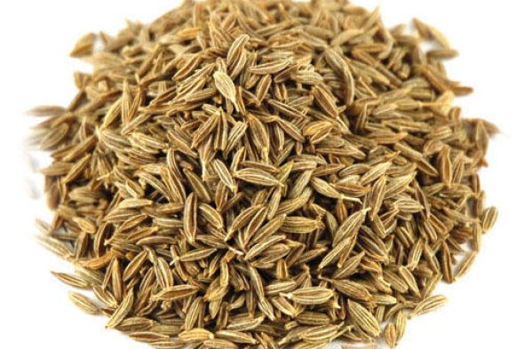 Cumin Seed (Green and black)