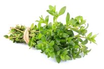 All About Thyme