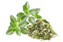 Thymian fresh dried herb