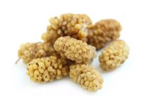 organic dried mulberries