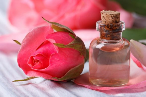 All About Rose And Rose water