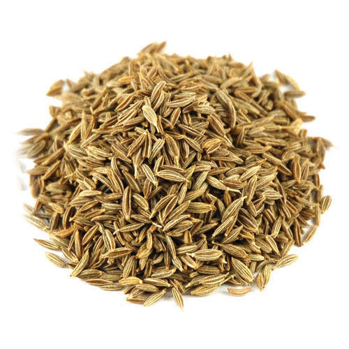 Cumin Seed (Green and black)